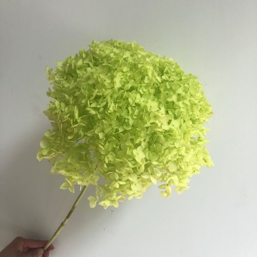 DIY Living Room Table Decoration Decoration Decoration Yongsheng Flower DIY Living Room Table Decoration Decoration Decoration Yongsheng Flower