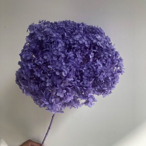 DIY Living Room Table Decoration Decoration Decoration Yongsheng Flower DIY Living Room Table Decoration Decoration Decoration Yongsheng Flower